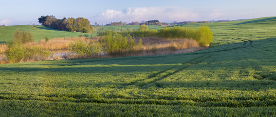 wiosenny  ,wiejski krajobraz © Mike Mareen