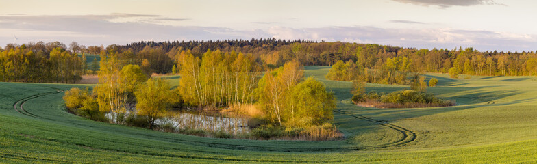 Pole i las w świetle wschodzącego słońca © Mike Mareen