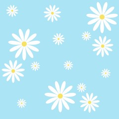 Camomile on blue background