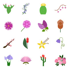 Icon set flower. Vector flower. Icon on a white background