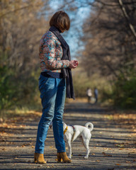Obraz premium woman walking with a dog in autumn park