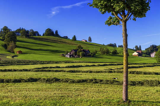 Appenzell landscape, Switzerland