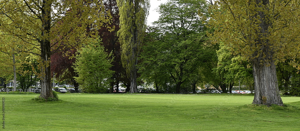 1000_F_108869532_btlhvMPxIQo5Semm0YJVG8L0vtYVtPpL.jpg