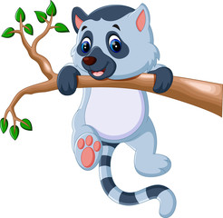 Cute lemur cartoon © hermandesign2015