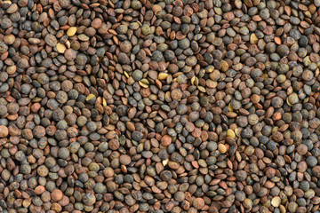 Raw lentils background