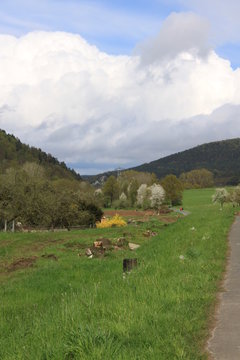 Baumf&auml;llungen im gr&uuml;nen Tal im Spessart in Bayern unter dicken Wolken