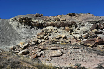 McInnis Canyons - Fruita Paleo Area