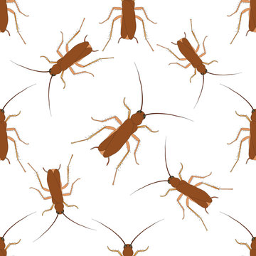 Seamless pattern with cockroach. blattella germanica   hand-drawn cockroach. Vector