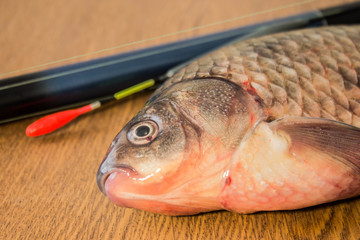 carp with fishing tackle
