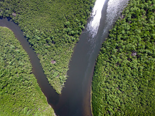 Top View of Amazon rainforest, Brazil