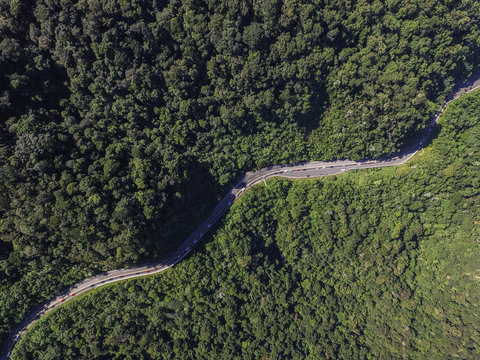 Top View of Highway in a Forest