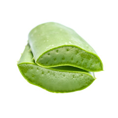 aloe vera on white background