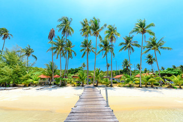 Beautiful tropical beach