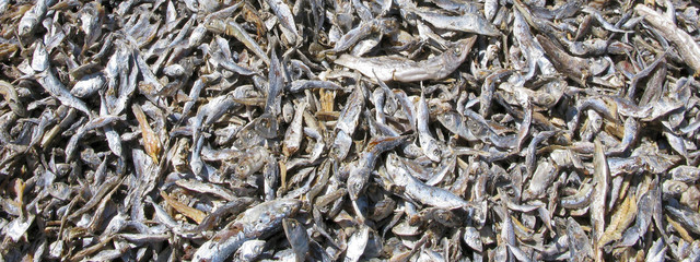 Heap of dry small fish