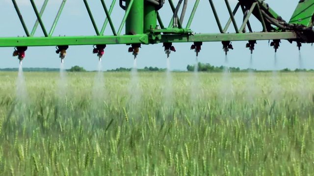 Treatment of cereals against pests, insects and plant diseases