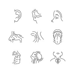 Set of Line Icons Medical Doctors Otolaryngology