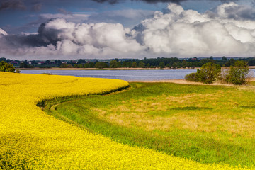Mazury-kwitnienie rzepaku © Janusz Lipiński