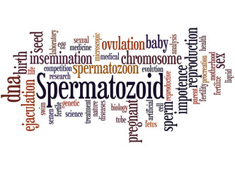 Spermatozoid, word cloud concept 5