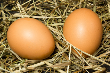 Two eggs and hay