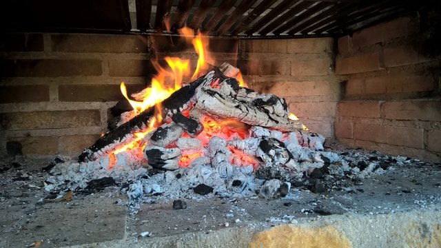 Hoguera. Parrillada.