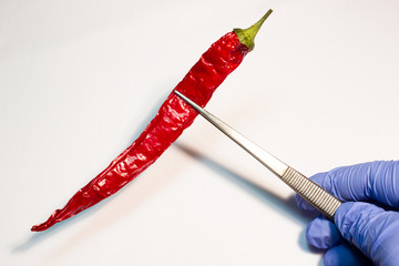 Red pepper in medical tweezers on white background
