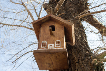 Wooden birdhouse on a tree