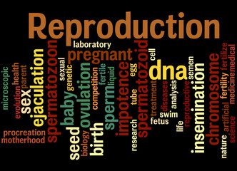 Reproduction, word cloud concept 6