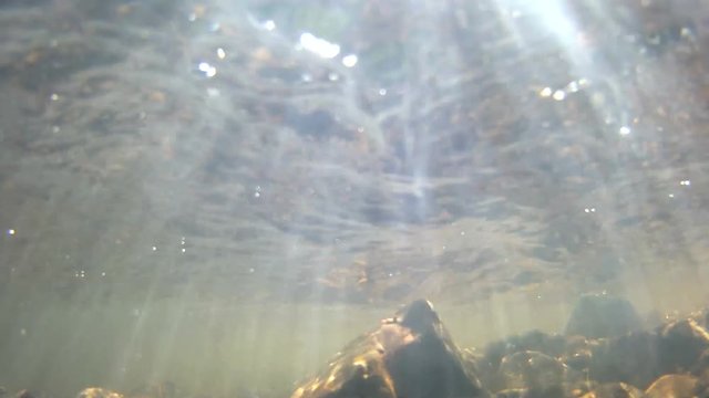 Unterwasseraufnahme eines klaren Bachs mit Sonnenreflexionen
