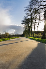 Bicycle path in the late sunlight. Long shadows of trees and beautiful clouds on the horzion.