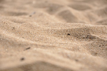 Fototapeta na wymiar Beach sand closeup