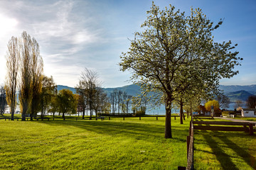 Lake Attersee in the morning in springtime