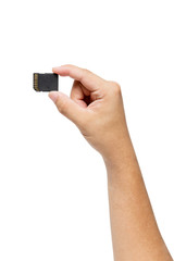 Hand holding SD card isolate on white