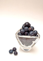Blueberries in a glass on a white background
