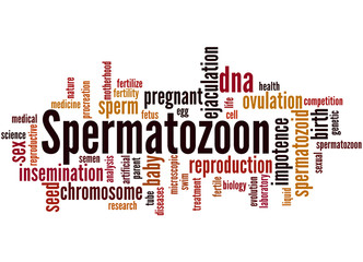 Fototapeta premium Spermatozoon, word cloud concept 8