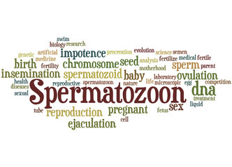 Spermatozoon, word cloud concept 9