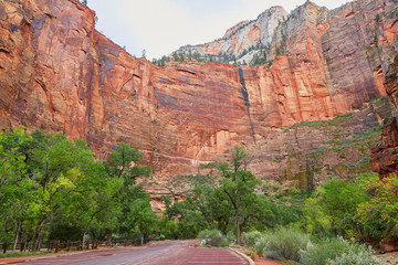 Scenic landscape in Zion national park, USA