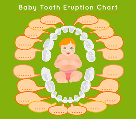Teeth Infographic vector