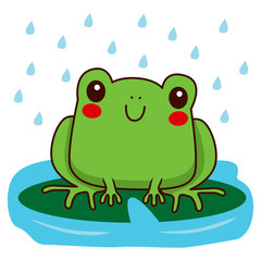 Cute little frog smiling happy in a rainy day sitting on green leaf