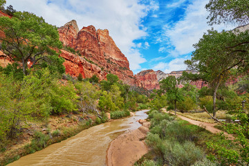 Scenic landscape in Zion national park, USA