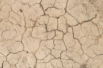 Crack soil texture background.