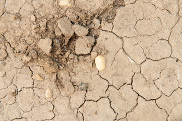 Crack soil texture background.