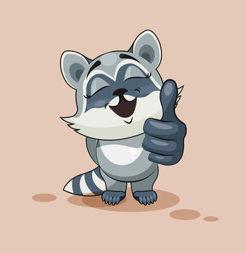 Raccoon cub thumb up