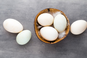  Duck eggs on a cage gray background.
