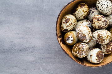 Quail eggs in the nest, a symbol of spring.