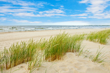 Grass sand dune beach sea view, Sobieszewo Baltic Sea, Poland