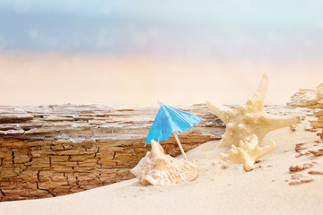 Fototapeta na wymiar Summer Holidays in Beach