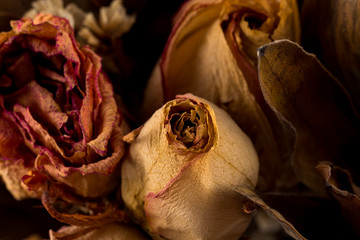 Decoration of dried flowers. Roses