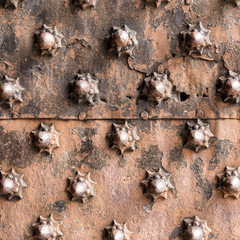 Ancient wooden spiked door detail i