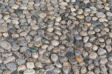 Round stones in the ground