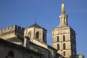 Avignon Cathedral